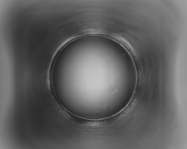 X0000102381182200808081131