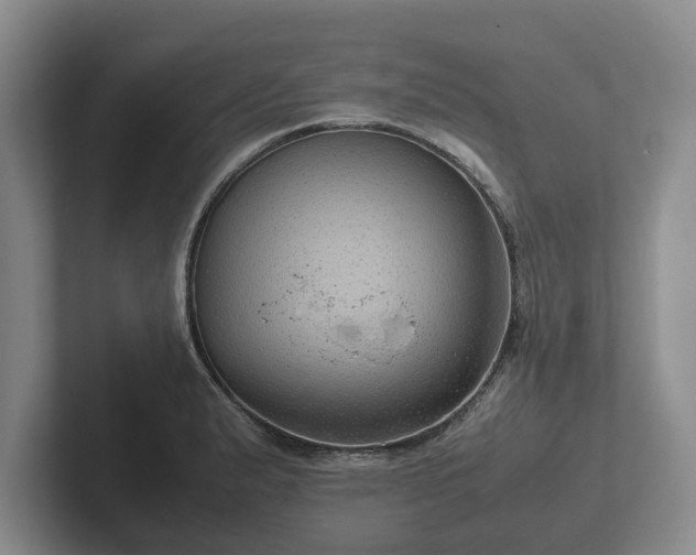 X0000102381183200808081131