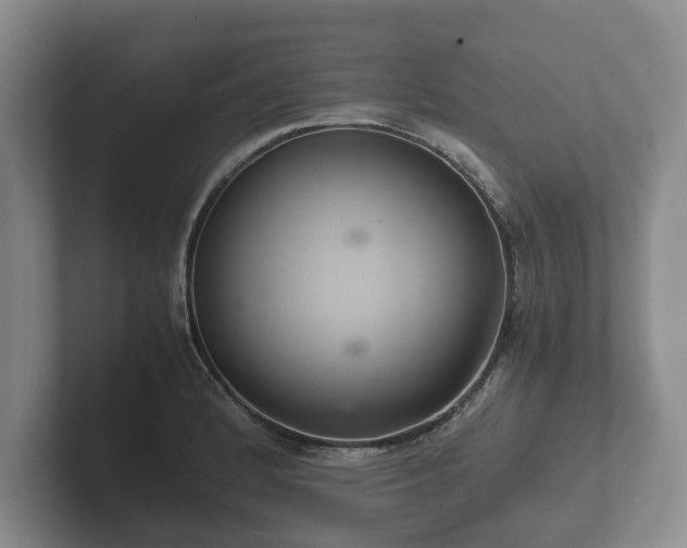 X0000102381184200808081131