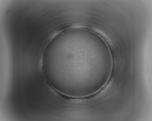 X0000102381185200808081131