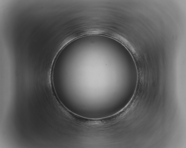 X0000102381186200808081131