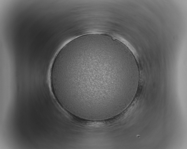X0000102381187200808081131