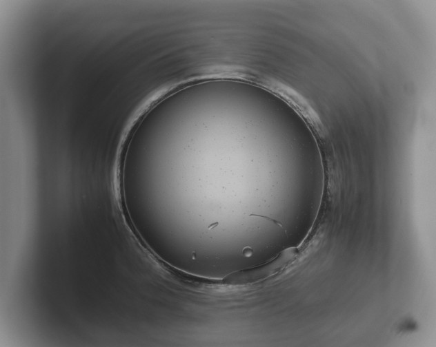 X0000102381188200808081131