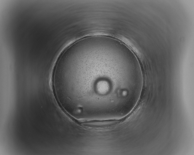 X0000102381189200808081131