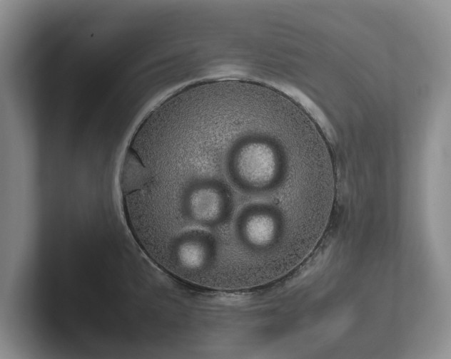 X0000102381191200808081131