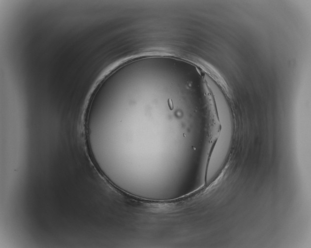 X0000102381192200808081131