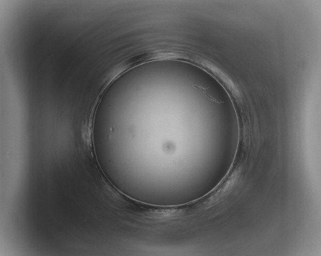 X0000102381193200808081131