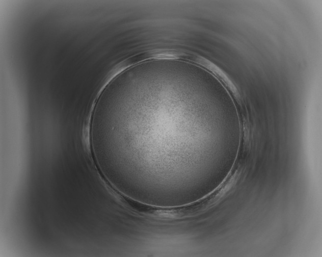 X0000102381194200808081131