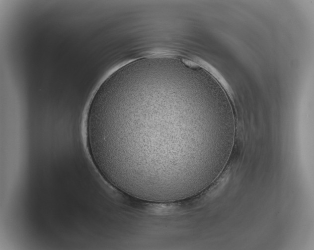 X0000102381195200808081131