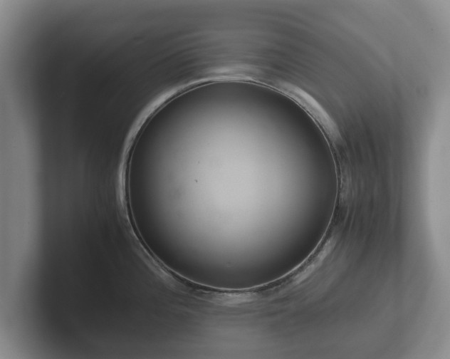 X0000102381196200808081131