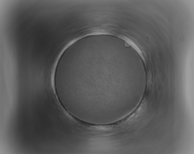 X0000102381197200808081131