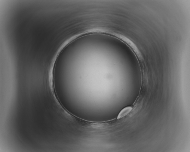 X0000102381199200808081131