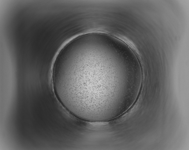 X0000102381200200808081131