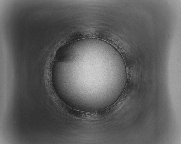 X0000102381201200808081130