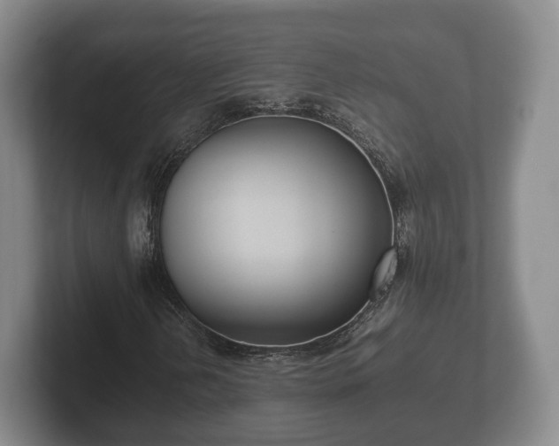 X0000102381202200808081130