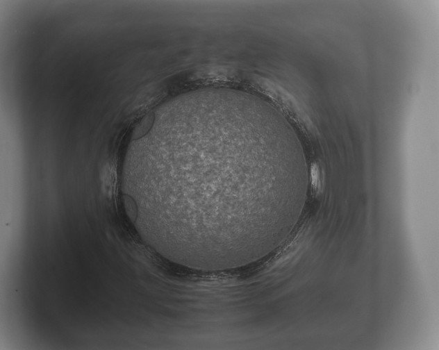 X0000102381203200808081130