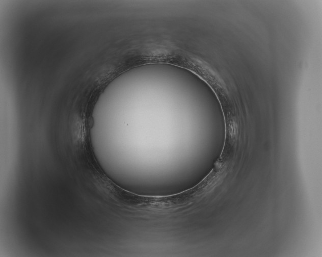 X0000102381204200808081130