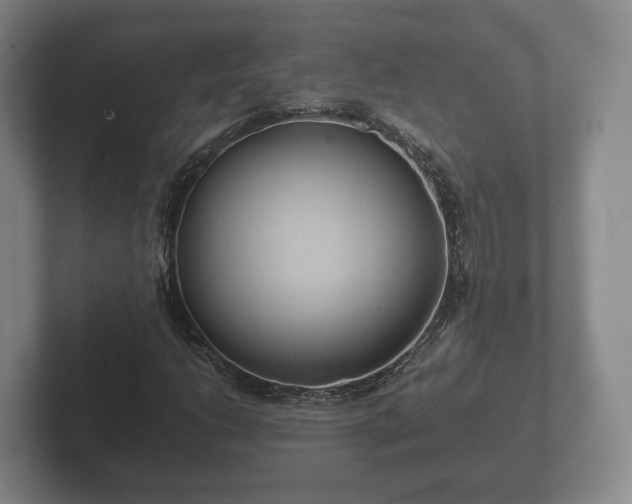 X0000102381206200808081130