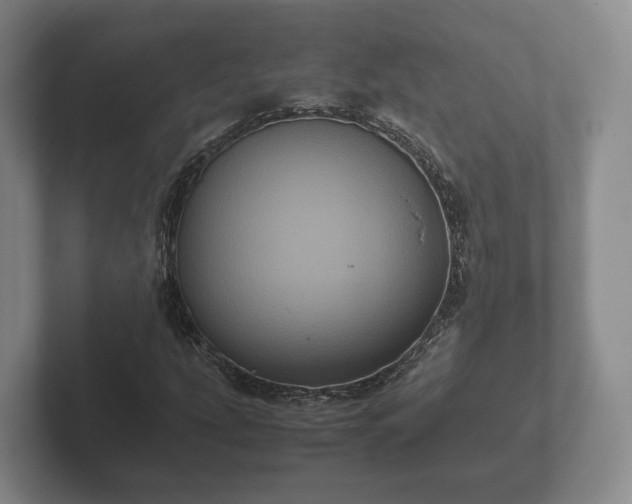 X0000102381207200808081130