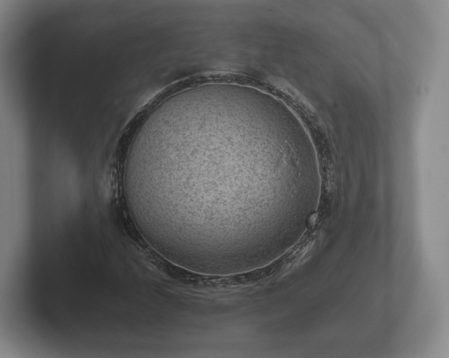X0000102381208200808081130