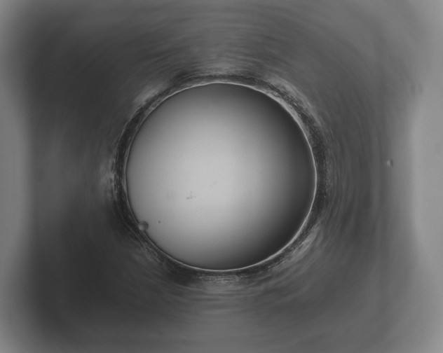X0000102381210200808081130