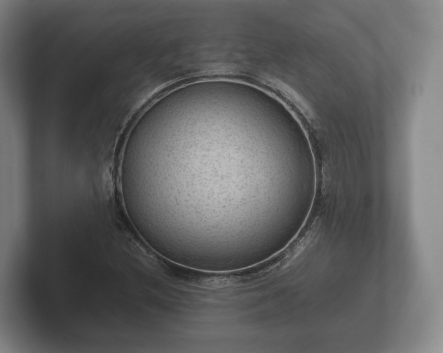 X0000102381212200808081131