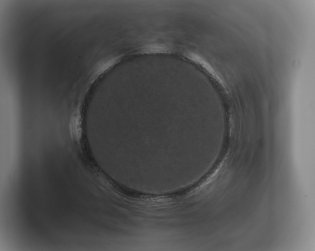 X0000102381213200808081131