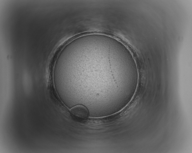 X0000102381215200808081131