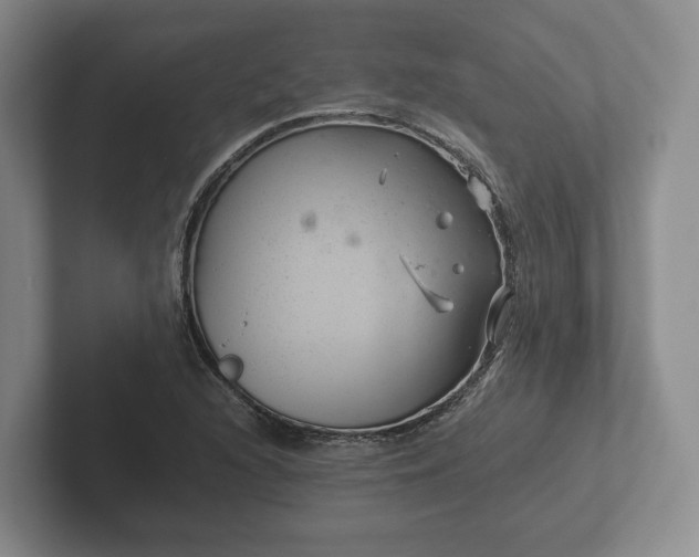 X0000102381216200808081131