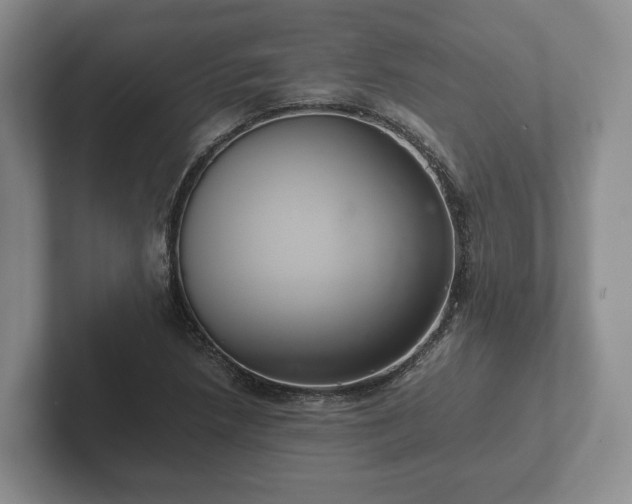 X0000102381218200808081131