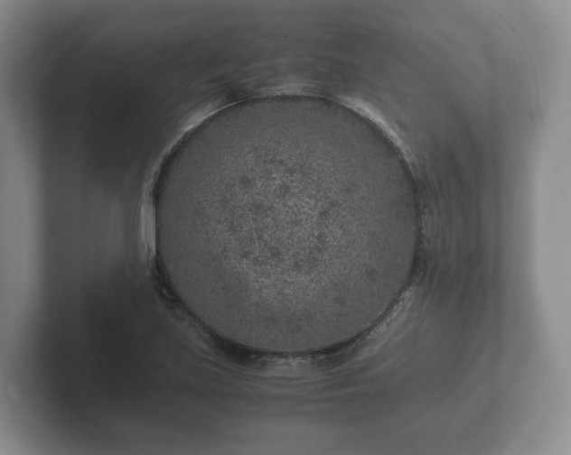 X0000102381219200808081131