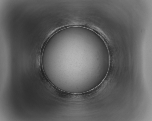 X0000102381220200808081131