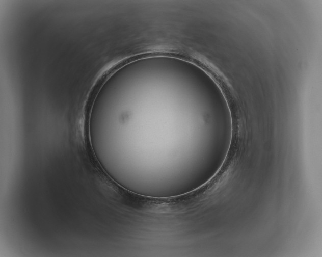 X0000102381222200808081131