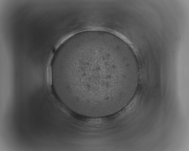 X0000102381223200808081131
