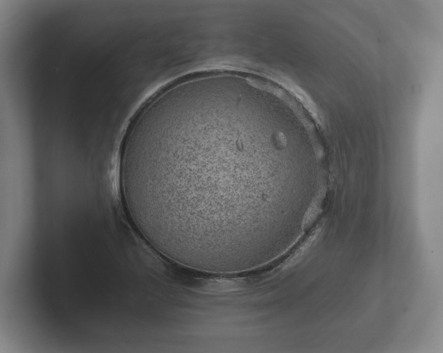 X0000102381224200808081131