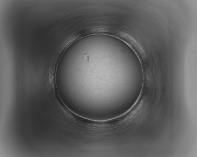 X0000102381225200808081131