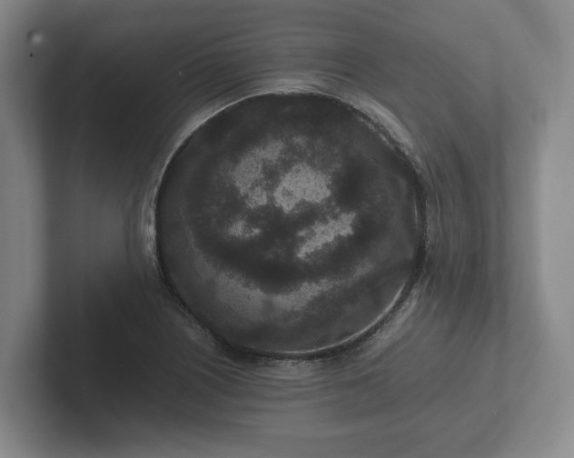 X0000102381226200808081131