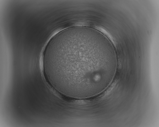 X0000102381227200808081131