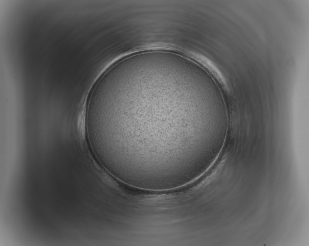 X0000102381228200808081131
