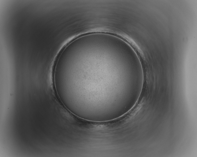 X0000102381230200808081131