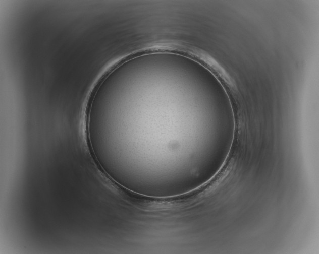 X0000102381232200808081131