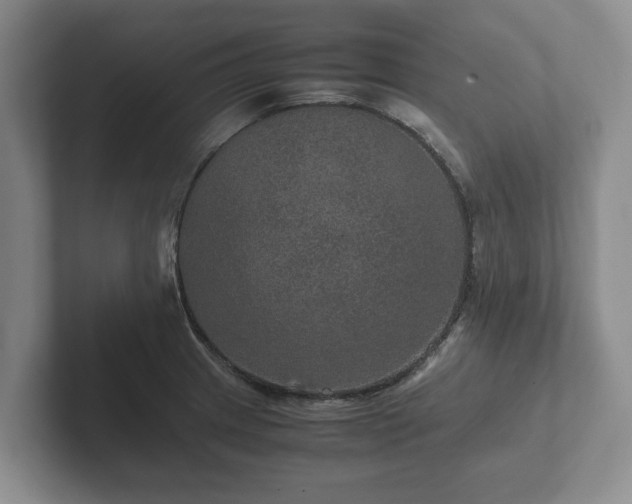 X0000102381233200808081131