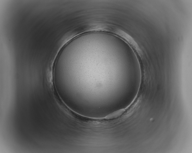 X0000102381234200808081131