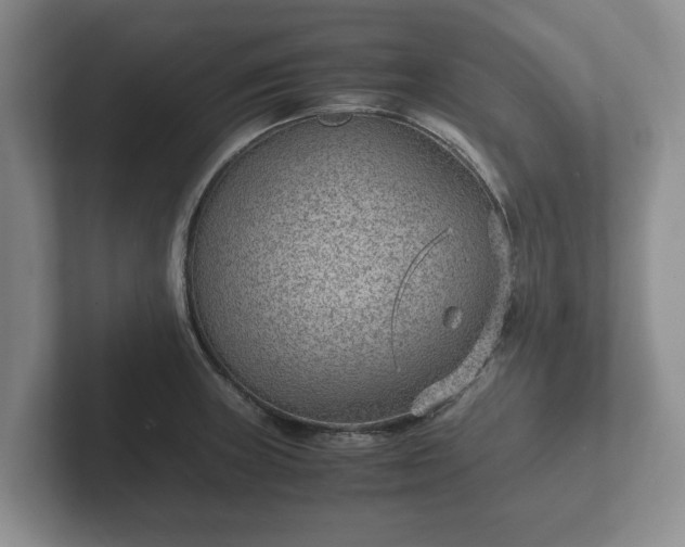 X0000102381235200808081131
