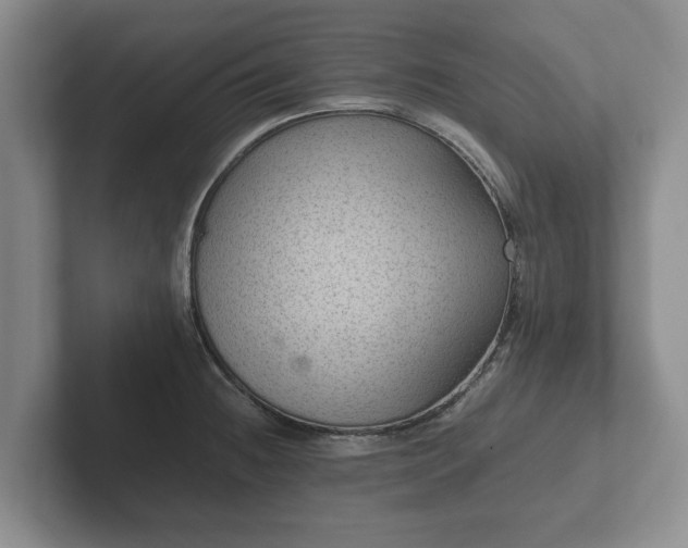 X0000102381236200808081131