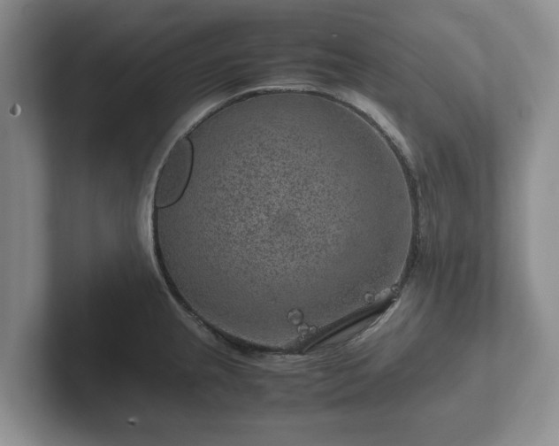 X0000102381237200808081131