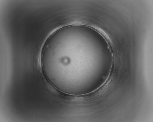X0000102381238200808081131