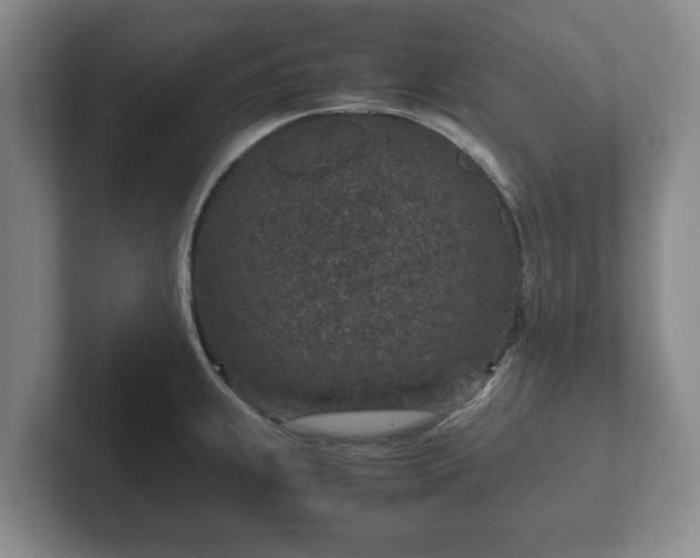 X0000102381239200808081131