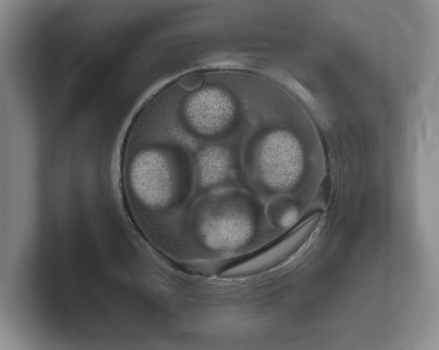 X0000102381240200808081131