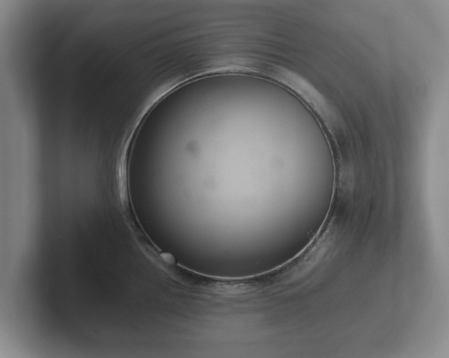 X0000102381242200808081131
